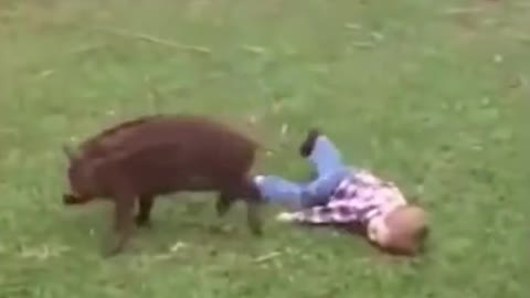 Funny Kids and Animals