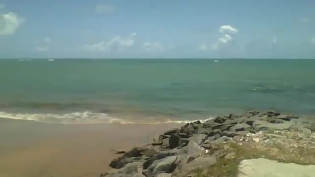 O sol brilha intensamente na costa da praia, o calor é intenso! [Nature & Animals]