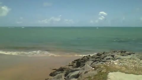 O sol brilha intensamente na costa da praia, o calor é intenso! [Nature & Animals]