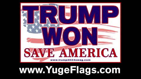 Trump Won Flag Mets Citi Field