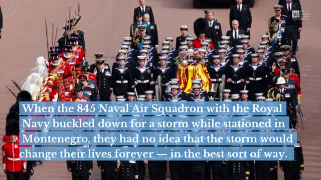 Royal Navy Air Squadron Asks Public for Help Bringing Home a Puppy That They Saved During a Storm