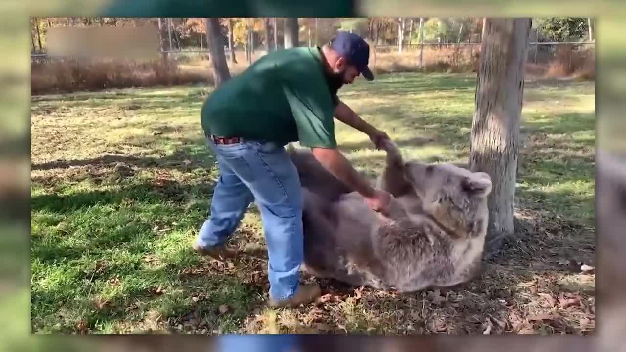 Les animaux ont des émotions,les preuves