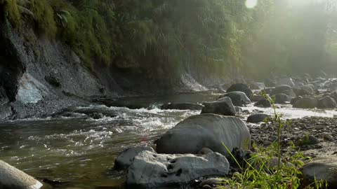 Relaxing video of river during daytime