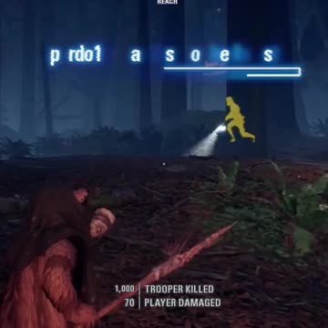 Ewok Hunt