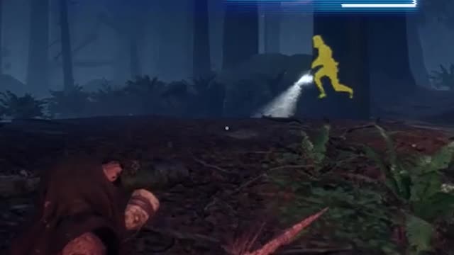 Ewok Hunt