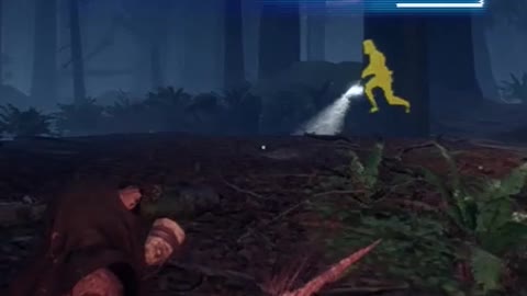 Ewok Hunt