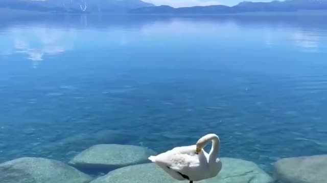 sea and blue sky and boat