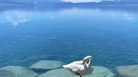 sea and blue sky and boat