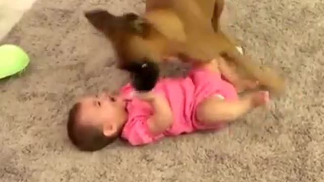 Laugh with the baby and the dog