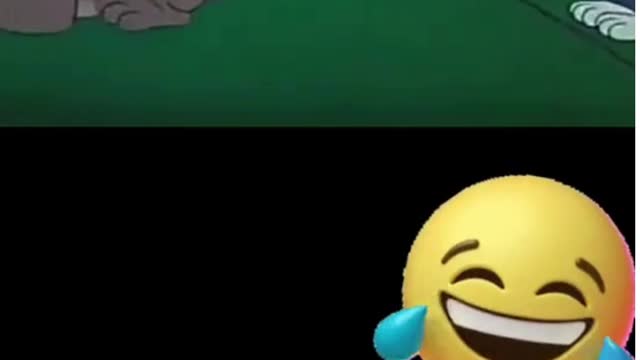 A FUNNY CAT AND DOG πΉπΆπ