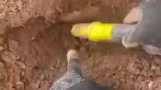 What Do You Think This Could Be?