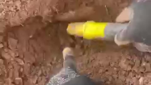 What Do You Think This Could Be?