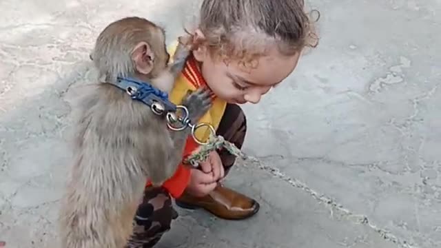 Monkey kissing Harman baby