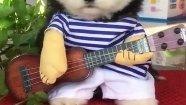 Cute Dog Video Completion