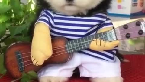 Cute Dog Video Completion