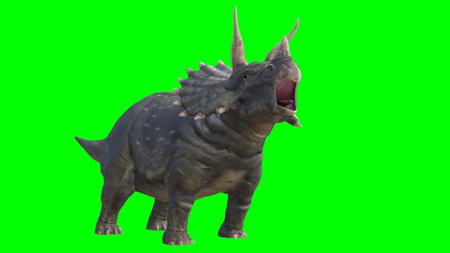 Three-horned dinosaur on green background.