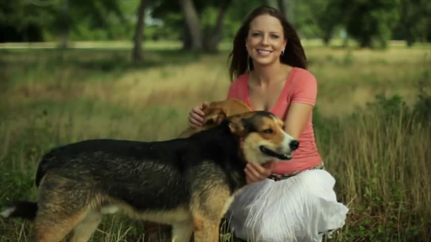 Dog's Journey beloved joyful