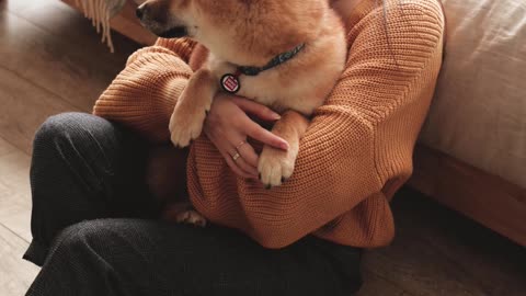 woman-holding-dog-on-arms