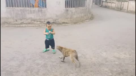 Baby falls face down while playing with dog