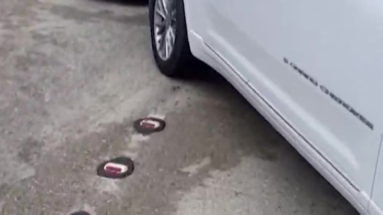 Louisiana 'super-fog' kills seven in multi-car pile up