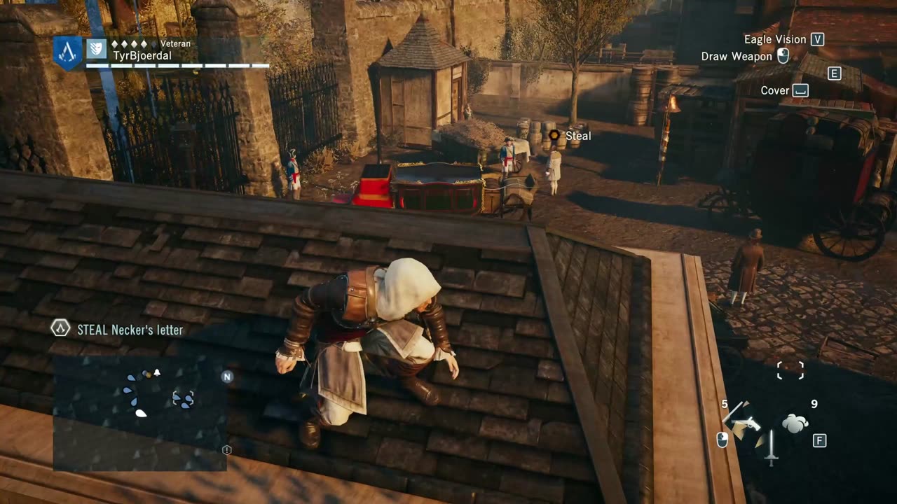 Assassin's Creed Unity