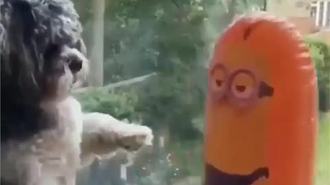 Not all toys are like this