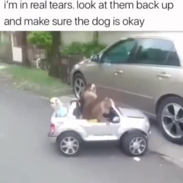 Urgent kidnapping in progress!