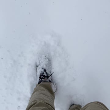 Danger down..... yikes!