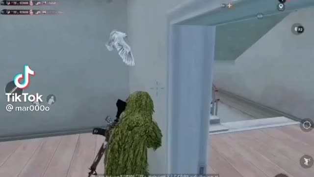 professional games