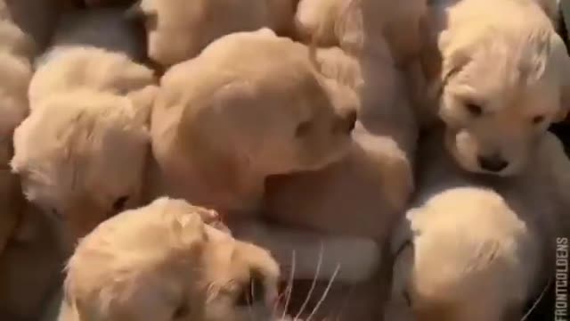 mother is mother after all