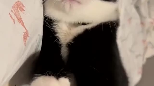 Don't bite me