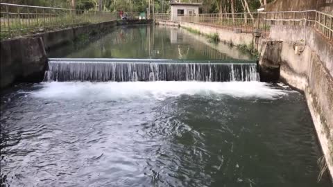 21_0316天冷 白冷圳