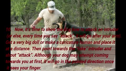 9 guaranteed ways to train your dogs to attack at your command