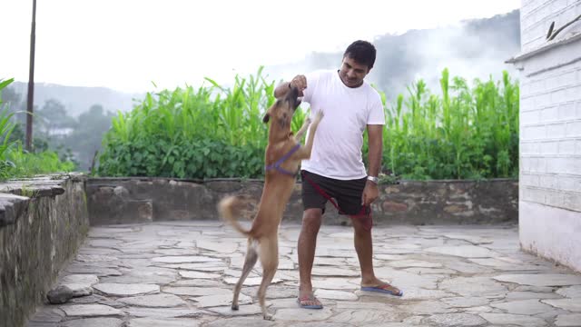 Dog training for eating with a man।। family friendship day।।