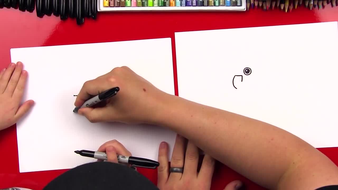 HowToDrawACartoonParrotp3