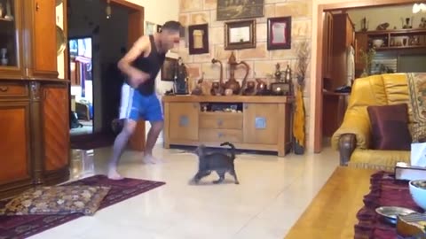 Funny Cat Part 1