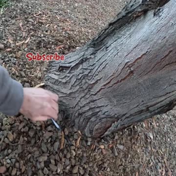 Would this Geocache be tricky?