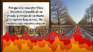 La Desobediencia un camino sin salida _ Salmo 95:7al 8 _ Devocional