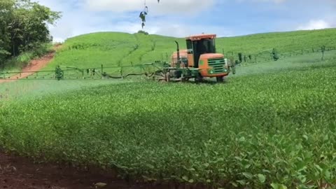 making soy treatment