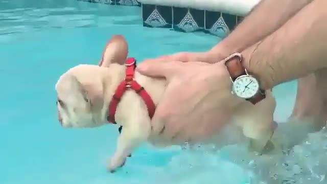 Learning to swim!