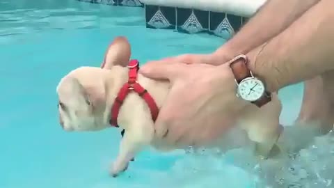 Learning to swim!