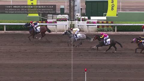 Horse_Race_2022060501_Chinese