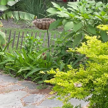 Electro Culture Garden