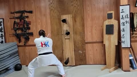Hapkido