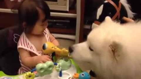 Cute Babies and Animals Video