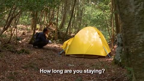 Japan's Suicide Forest