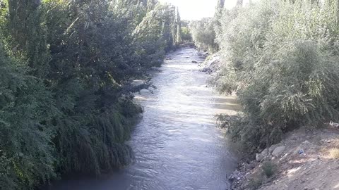 Wildlife | Small river in a small town