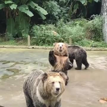 This video is sending me 😂😂😂😂😂