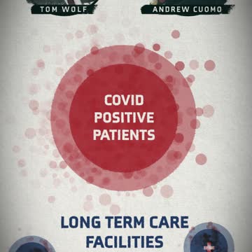 Shapiro and The Nursing Home Letters