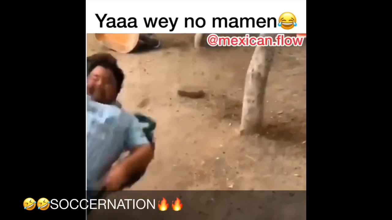 Mexican/Hispanic/Latino Memes Funny and Relatable🤯😂